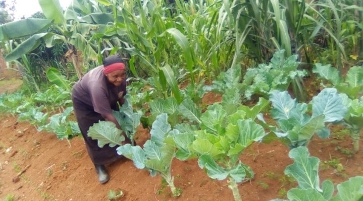 Kibindi Farmer Group