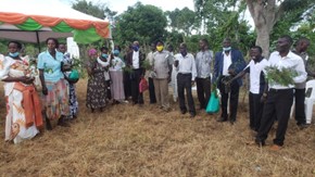 Farmers’ Tree Training