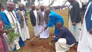 Planting Trees