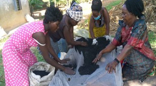 Biochar Sieving