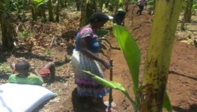 Kasala Central Farmers Group