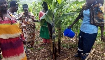 Buwunga Sub County Farmers