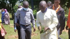 Tree Planting Campaign